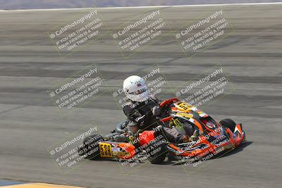 media/Mar-29-2025-Pro Autosports (Sat) [[89b1c017ad]]/6-Purple Group/Session 2 (Bowl)/
